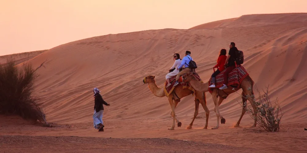 Camel Riding Safari 1 1