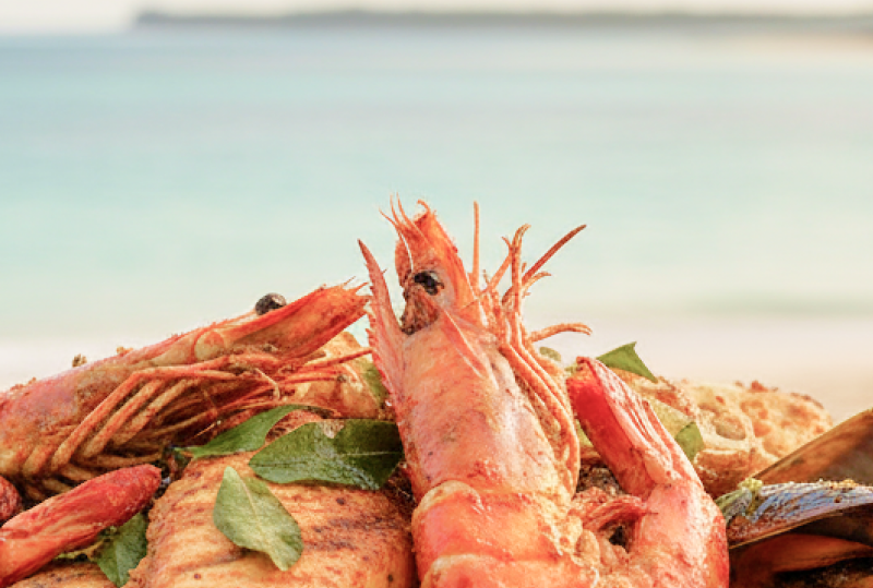 Kolkatas Best Seafood Spots1