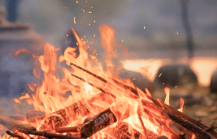 Top Activities for Adventure Seekers in Pondicherry1