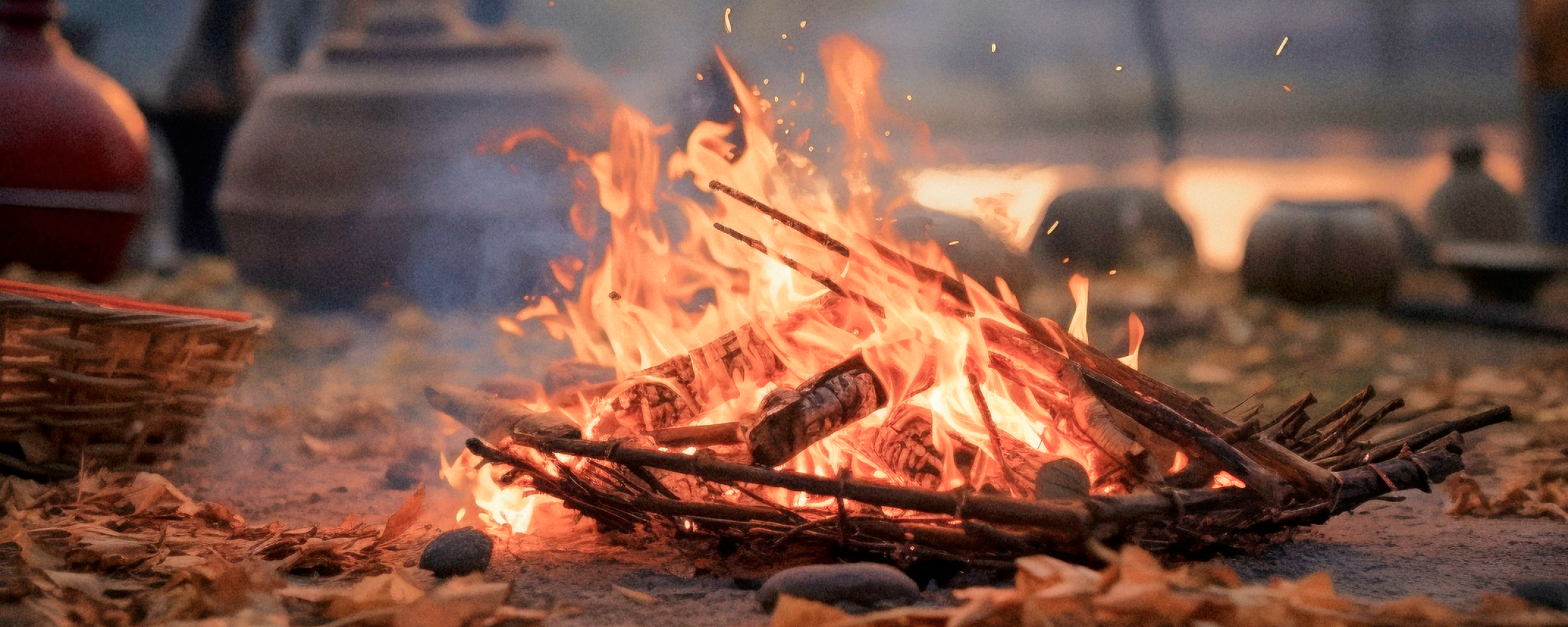 Top Activities for Adventure Seekers in Pondicherry2