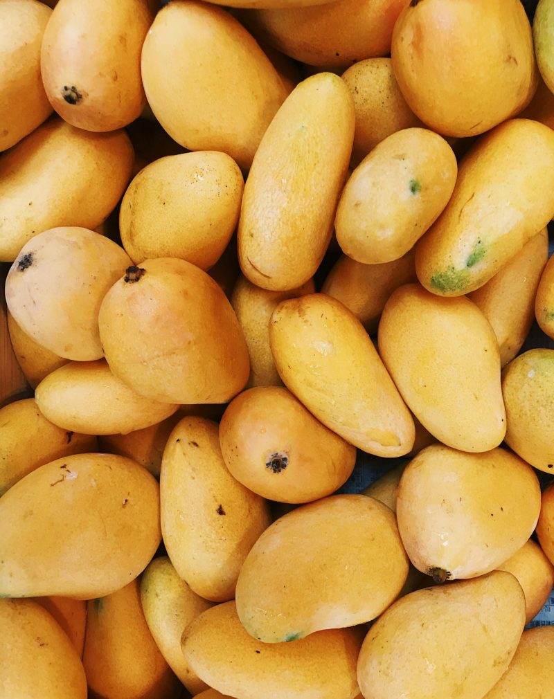 pexels julieaagaard 2294471 scaled