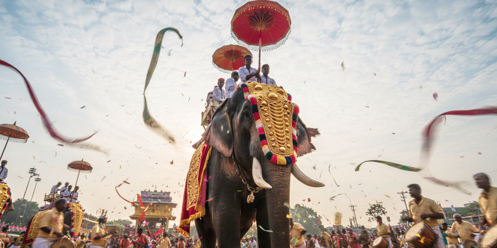 A caparisoned elephant adorned with golden ornaments and colourful garlands at the Thrissur Pooram festival, surrounded by drummers, ceremonial umbrellas, and confetti streamers