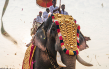 A caparisoned elephant adorned with golden ornaments and colourful garlands at the Thrissur Pooram festival, surrounded by drummers, ceremonial umbrellas, and confetti streamers thumbnail
