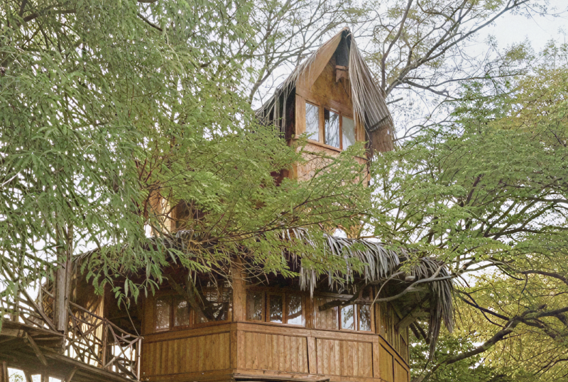 Airbnb Adventures Unique Stays Across Bengaluru1