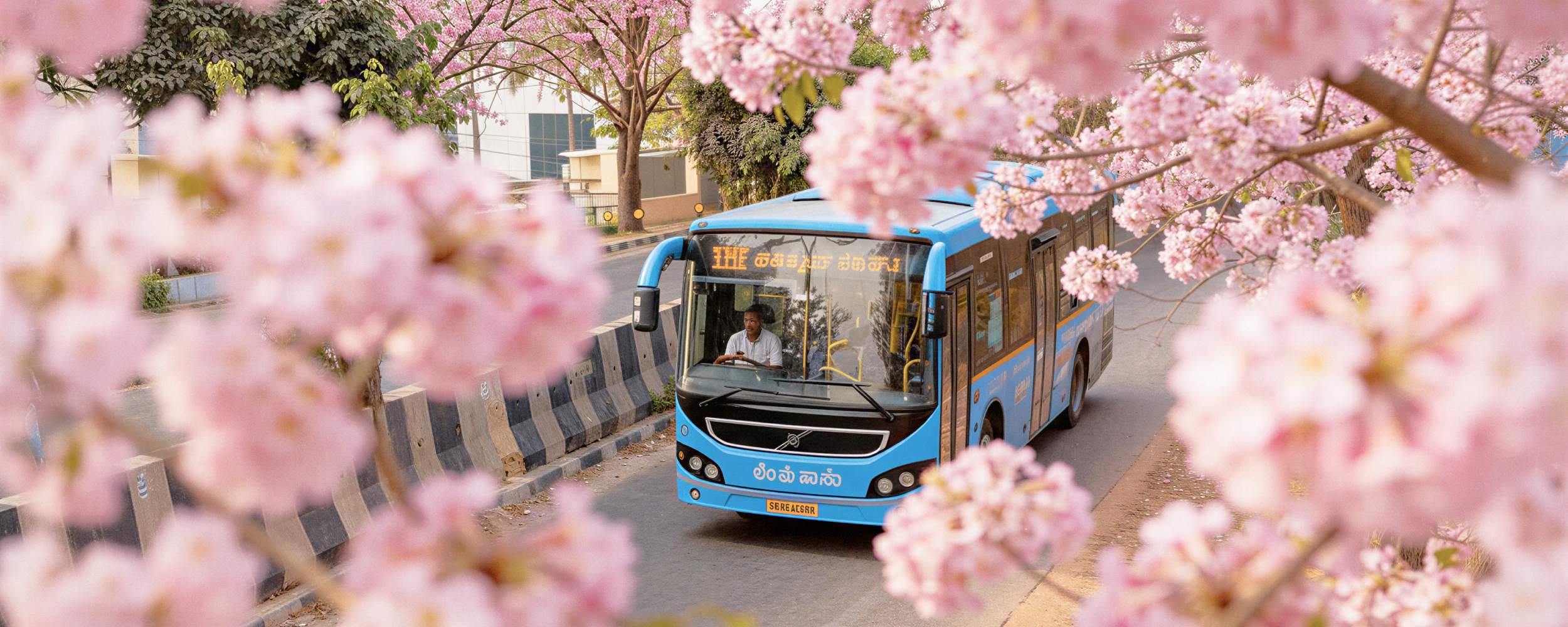 Bangalore for First Timers Everything You Need to Know2