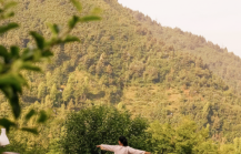 Wellness Retreat Stays in Delhi Peaceful Escapes Near the City1