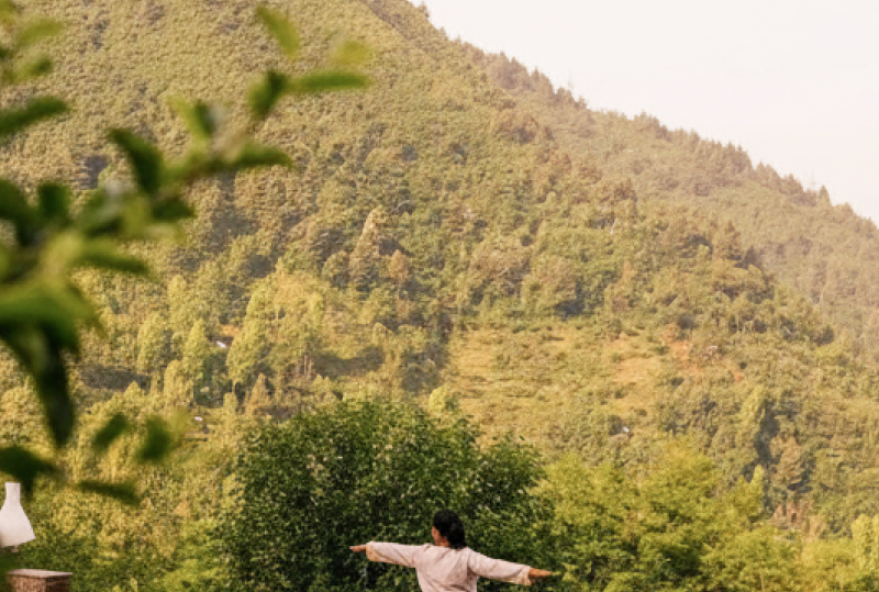 Wellness Retreat Stays in Delhi Peaceful Escapes Near the City1