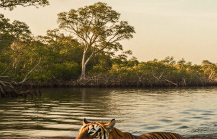 Beyond Howrah Day Trips from Kolkata Thatll Surprise You1 1