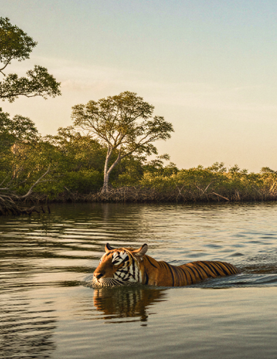 Beyond Howrah Day Trips from Kolkata Thatll Surprise You1 1