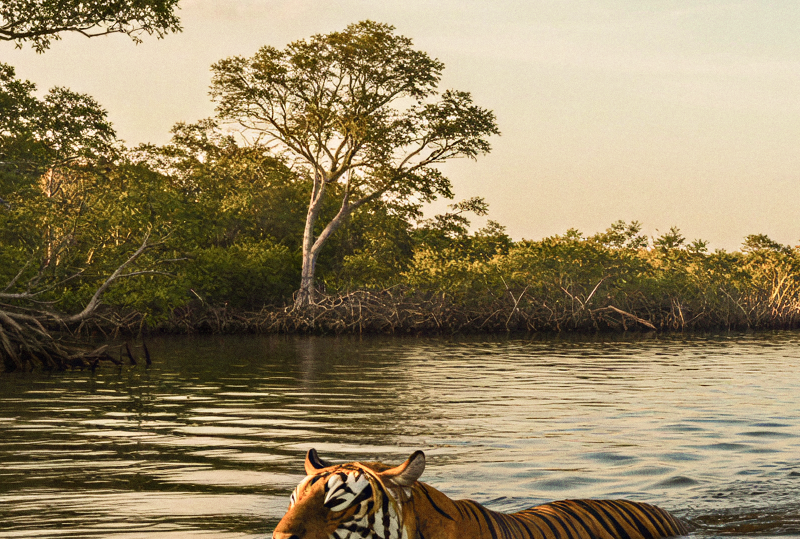 Beyond Howrah Day Trips from Kolkata Thatll Surprise You1 1