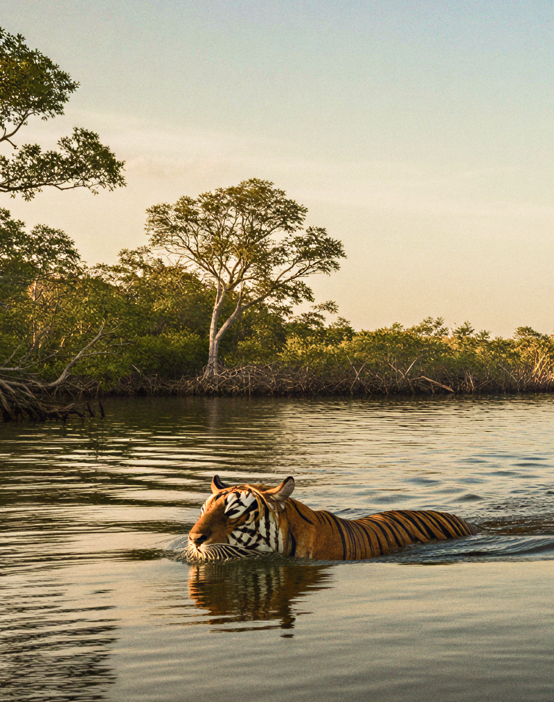 Beyond Howrah Day Trips from Kolkata Thatll Surprise You1 1