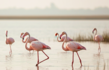 Beyond Marina Day Trips from Chennai Thatll Surprise You1