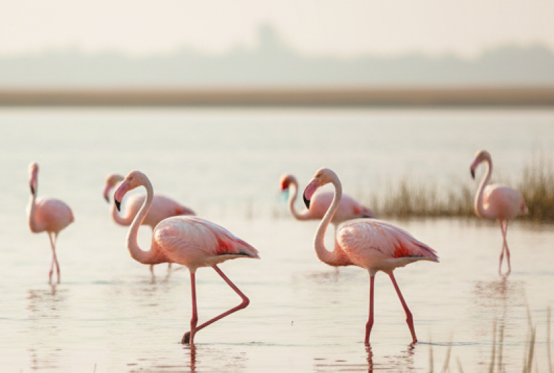 Beyond Marina Day Trips from Chennai Thatll Surprise You1