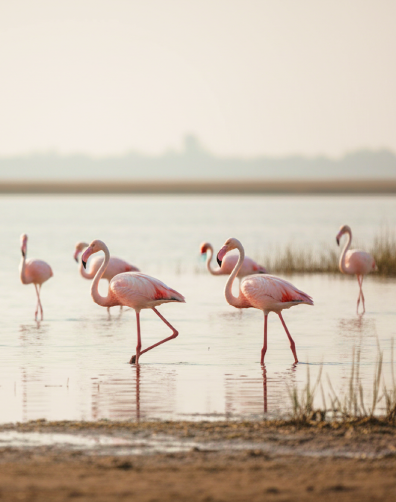 Beyond Marina Day Trips from Chennai Thatll Surprise You1