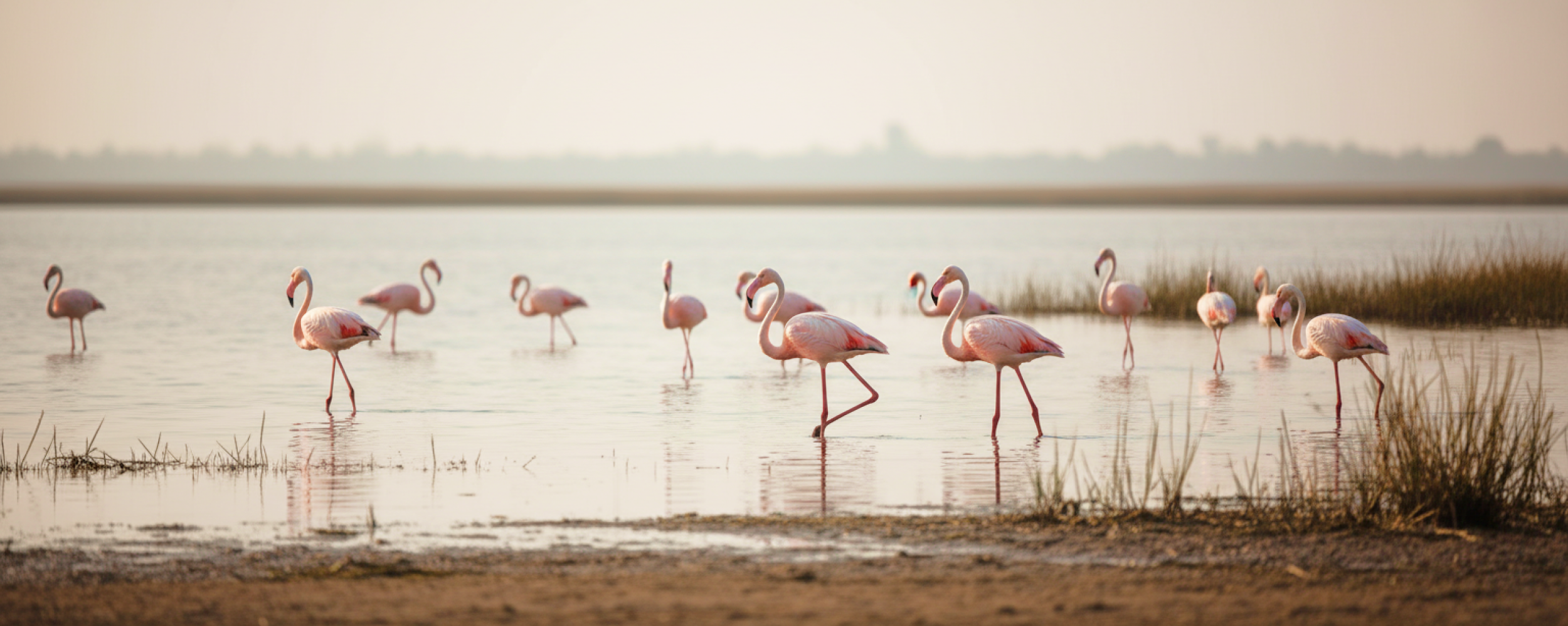 Beyond Marina Day Trips from Chennai Thatll Surprise You2