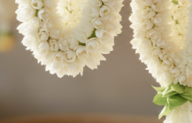 From Kanchipuram to Kollywood Glam What to Buy in Chennai1