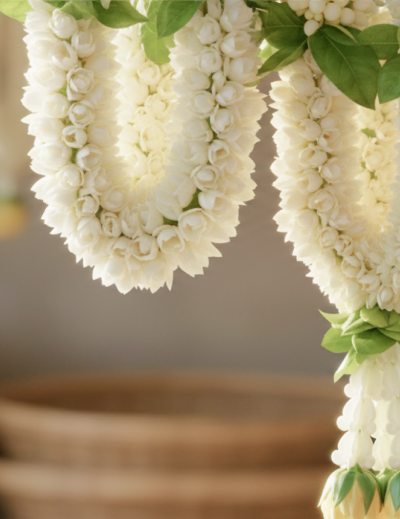 From Kanchipuram to Kollywood Glam What to Buy in Chennai1