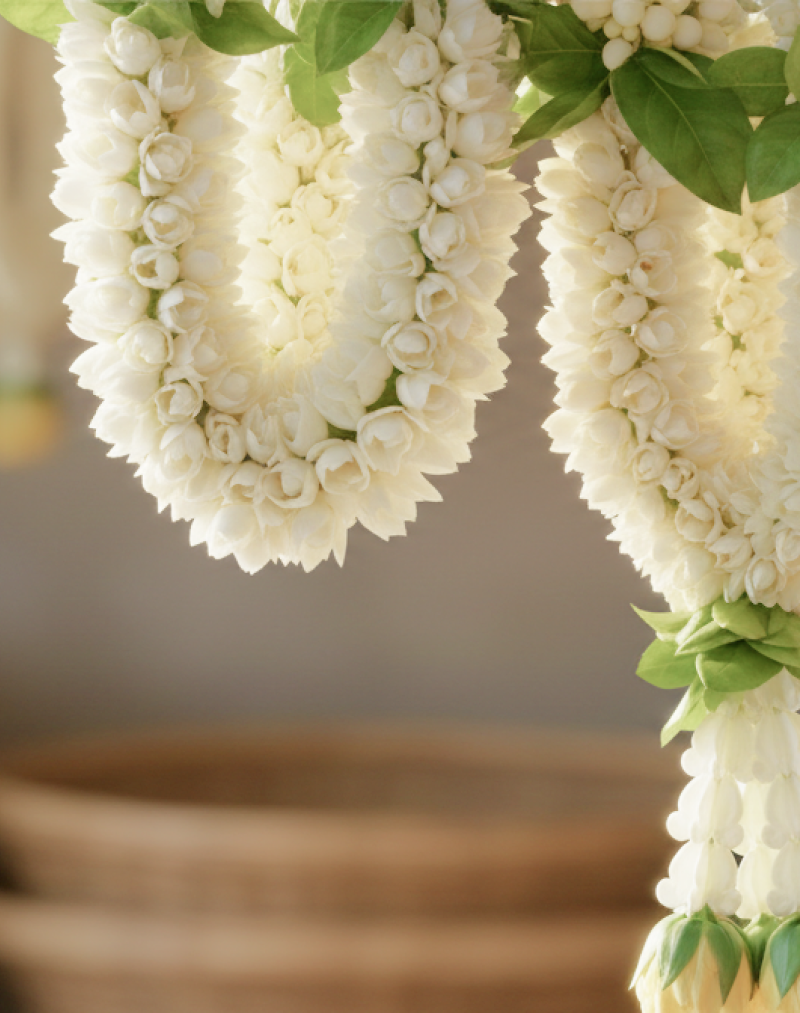 From Kanchipuram to Kollywood Glam What to Buy in Chennai1