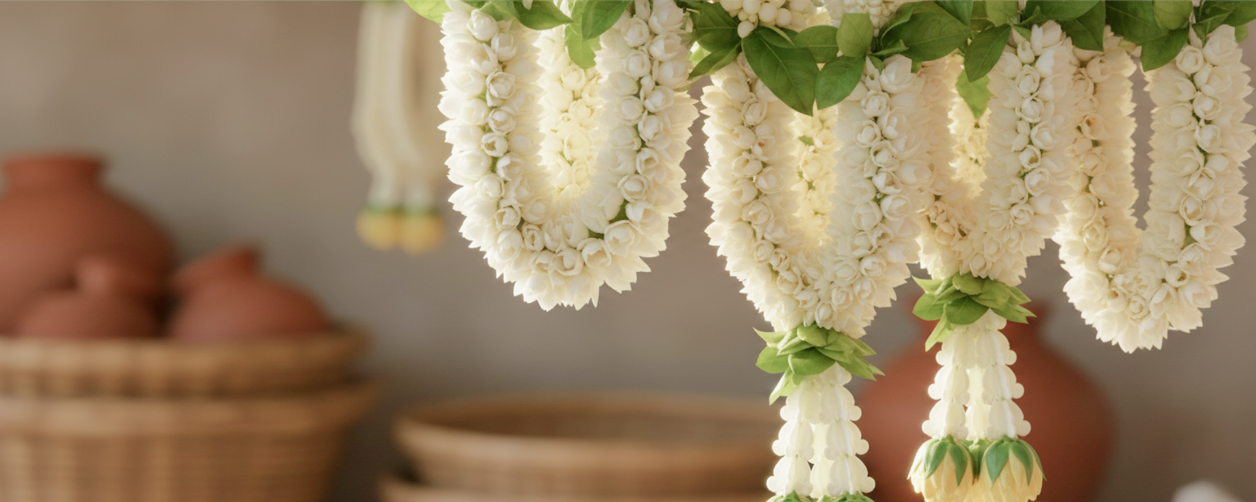 From Kanchipuram to Kollywood Glam What to Buy in Chennai2