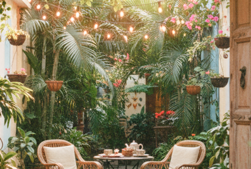 Best places to stay in Pondicherry — a charming boutique guesthouse courtyard with fairy lights, bougainvillea, and rattan chairs in the French Quarter thumbnail