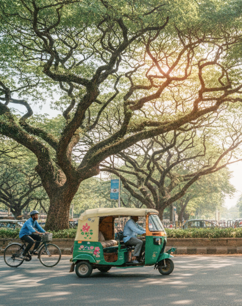 Bangalore travel guide — auto rickshaw and cyclist on a tree lined boulevard with a glass office building visible through the canopy, capturing the city's mix of old and new thumbnail