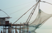 Chinese fishing nets and a weathered wooden boat on the misty Fort Kochi waterfront at dawn — a highlight of any day Kochi itinerary thumbnail