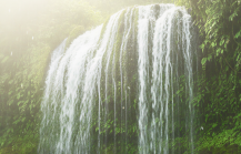 A magnificent waterfall in Meghalaya cascading into a misty jungle pool, surrounded by lush tropical greenery. a breathtaking natural sight to discover in India in June and July thumbnail