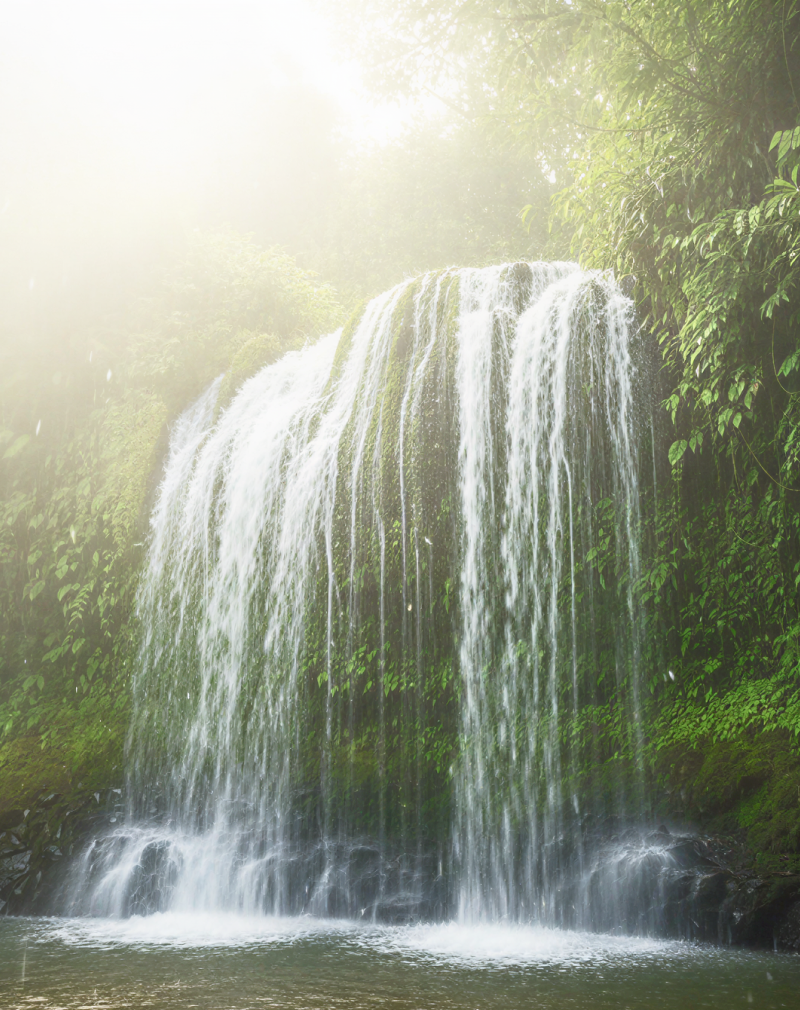 A magnificent waterfall in Meghalaya cascading into a misty jungle pool, surrounded by lush tropical greenery. a breathtaking natural sight to discover in India in June and July thumbnail