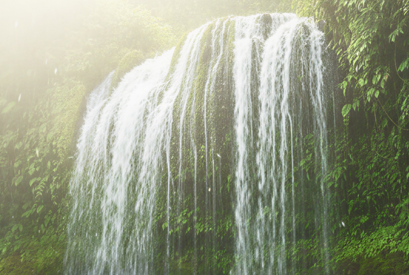 A magnificent waterfall in Meghalaya cascading into a misty jungle pool, surrounded by lush tropical greenery. a breathtaking natural sight to discover in India in June and July thumbnail