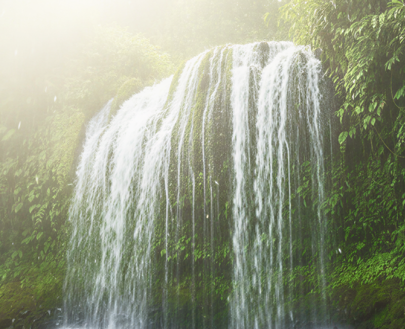 A magnificent waterfall in Meghalaya cascading into a misty jungle pool, surrounded by lush tropical greenery. a breathtaking natural sight to discover in India in June and July thumbnail