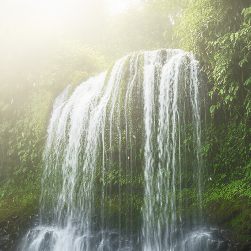 A magnificent waterfall in Meghalaya cascading into a misty jungle pool, surrounded by lush tropical greenery. a breathtaking natural sight to discover in India in June and July thumbnail