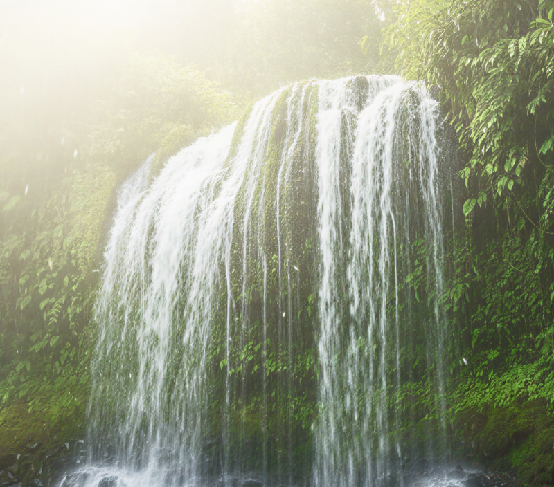 A magnificent waterfall in Meghalaya cascading into a misty jungle pool, surrounded by lush tropical greenery. a breathtaking natural sight to discover in India in June and July thumbnail